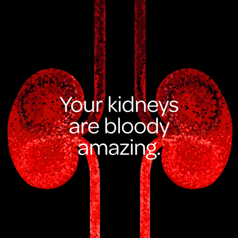 Kidney Care UK